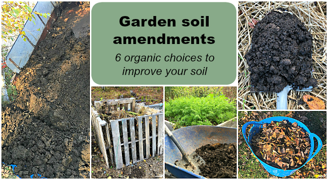 A Guide to Soil Amendments: Enhancing Soil Fertility