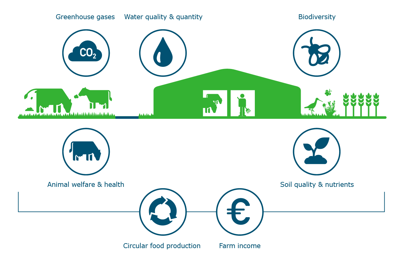 A Guide to Sustainable Dairy Farming Practices