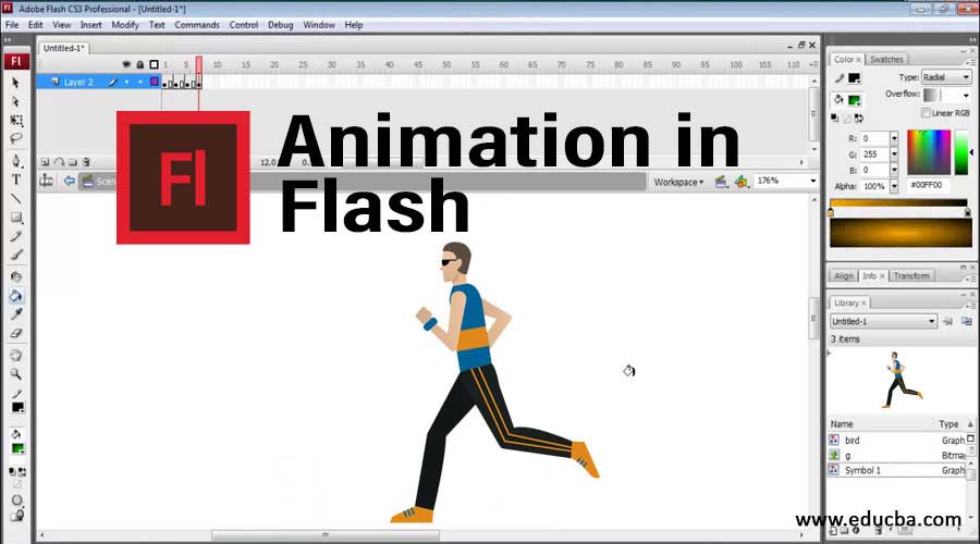 Adobe Flash (now Animate)