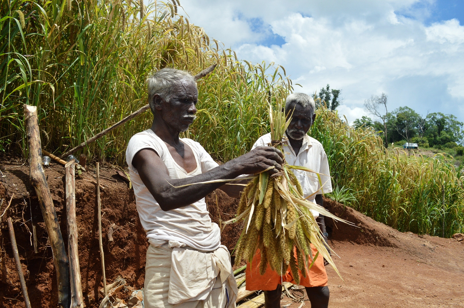 Agriculture and Food Sovereignty: Empowering Communities