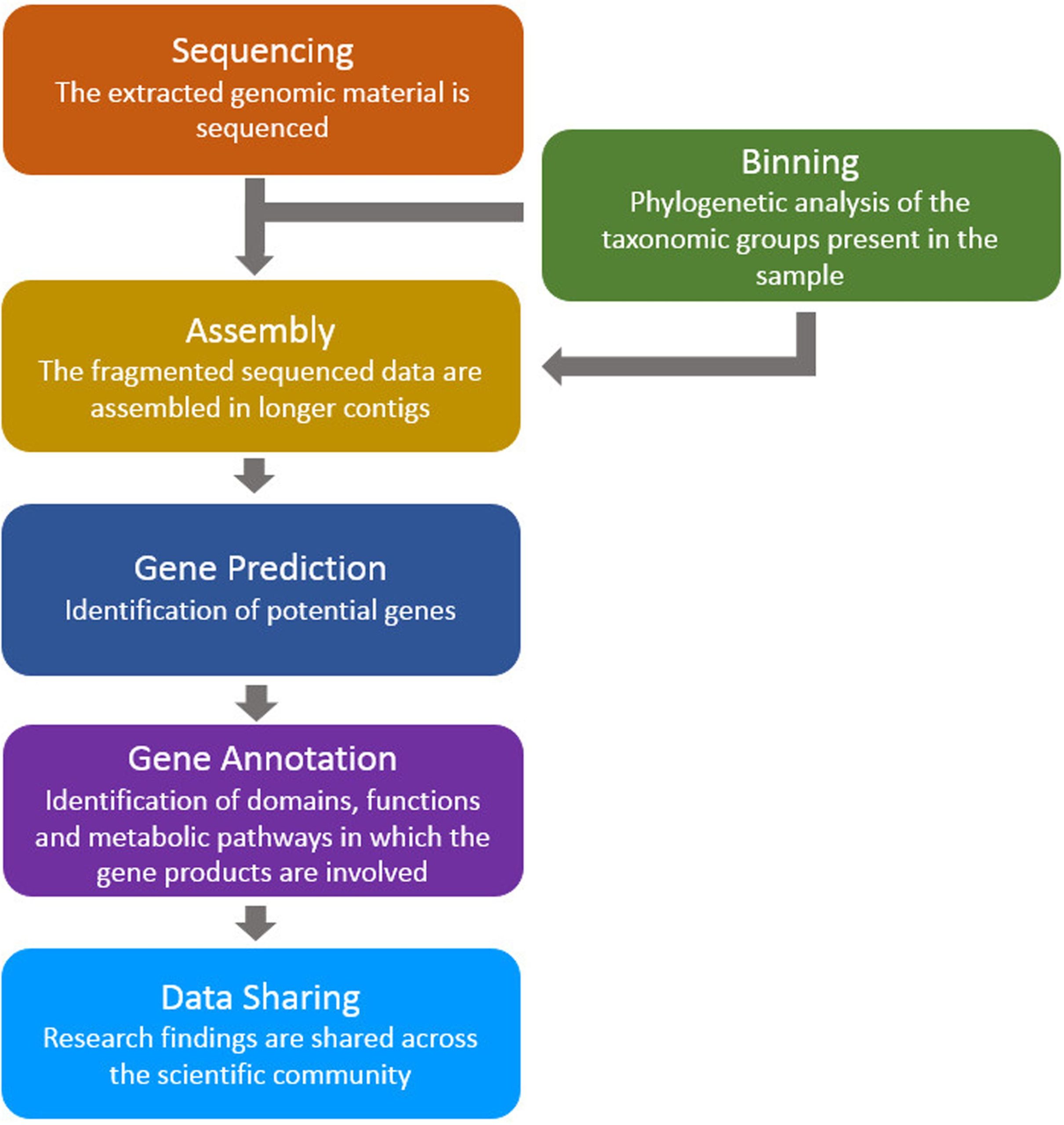 Biotechnology and Bioinformatics: Analyzing Genomic Data