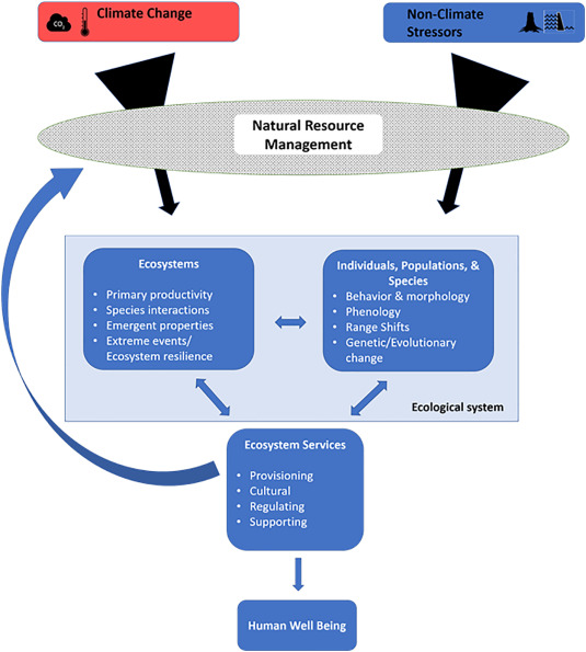 Climate Change and Biodiversity: The Impact on Ecosystems