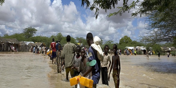 Climate Change Refugees: Understanding the Human Displacement Crisis