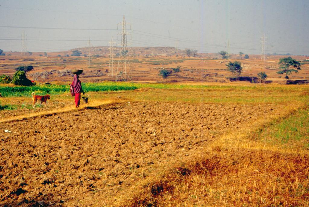 Climate-Resilient Agriculture Practices in India