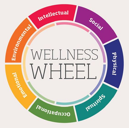 College Student Health and Wellness