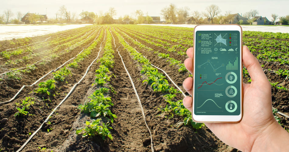 Crop Monitoring Sensors: Real-Time Field Insights