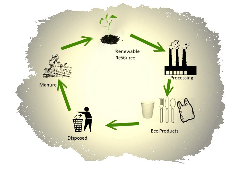 Eco-Friendly Materials and Manufacturing