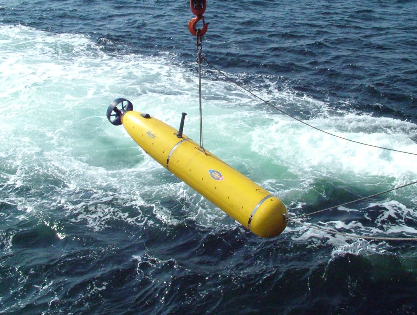 Firmware Development for Autonomous Underwater Vehicles (AUVs)