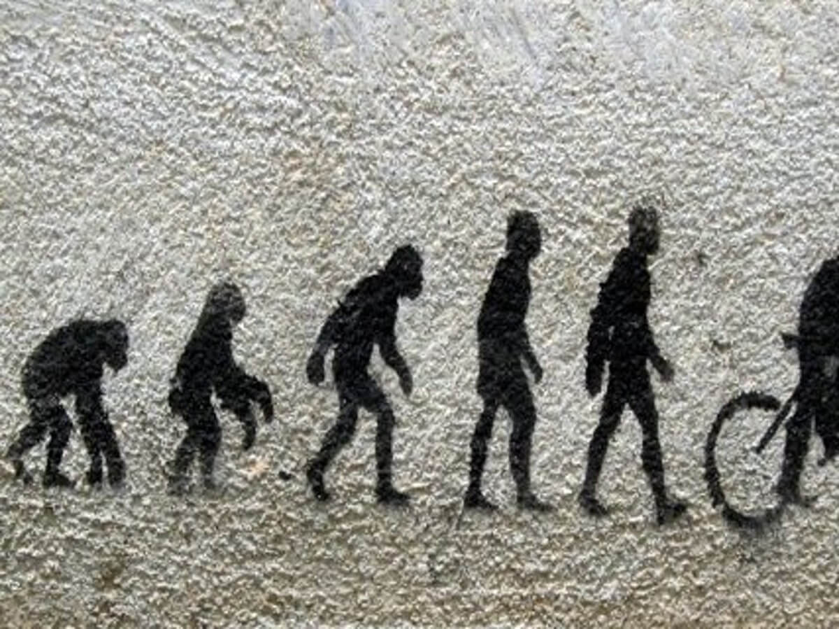 genetic-engineering-and-the-future-of-human-evolution