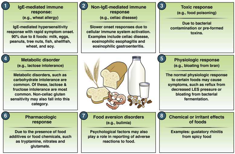 how-to-identify-and-manage-food-intolerances-and-allergies