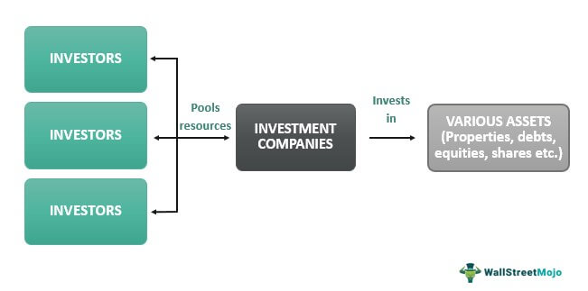 The Top 10 Most Lucrative Business Investments for 2023