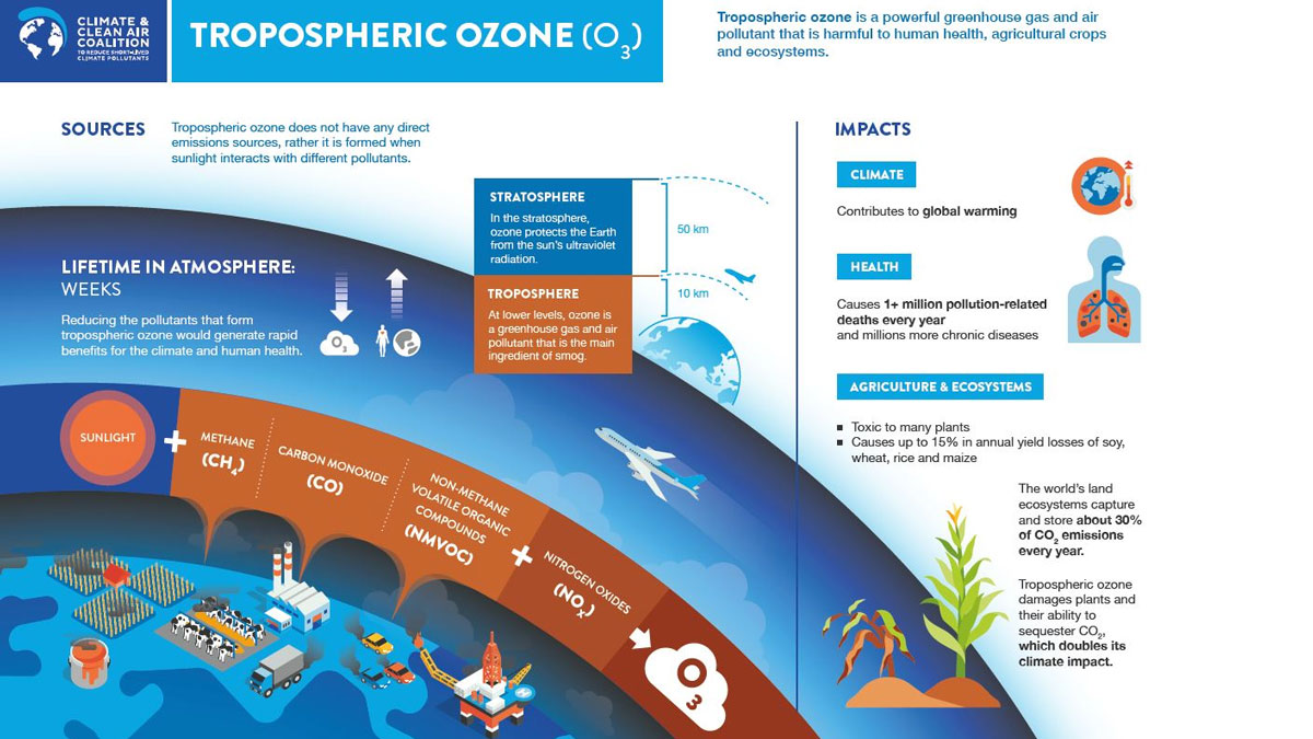 Methane and Its Impact on Climate Change