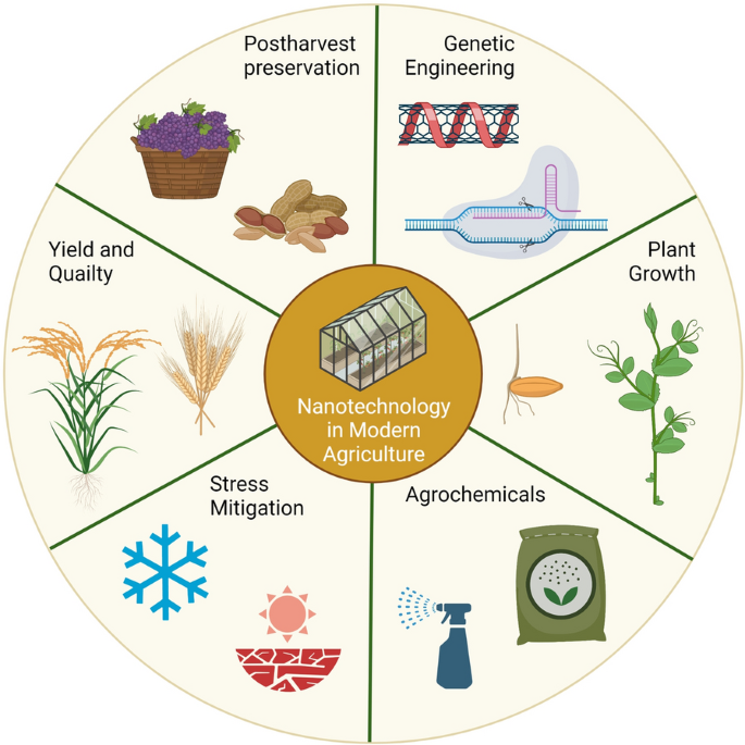 Nanotechnology and Agriculture: Enhancing Crop Growth and Yield