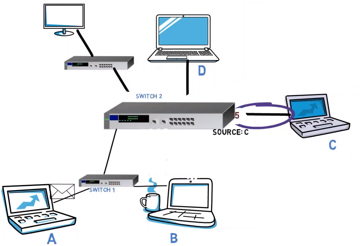 Network Switches and Hubs