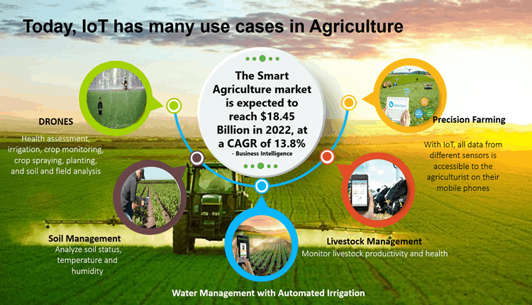 Precision Agriculture: Enhancing Efficiency Through Automation