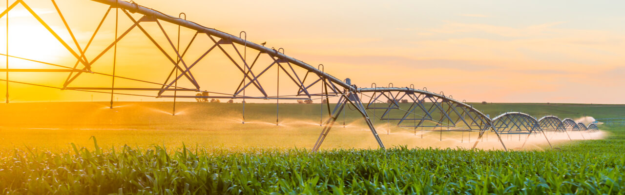 Precision Irrigation for Water Conservation