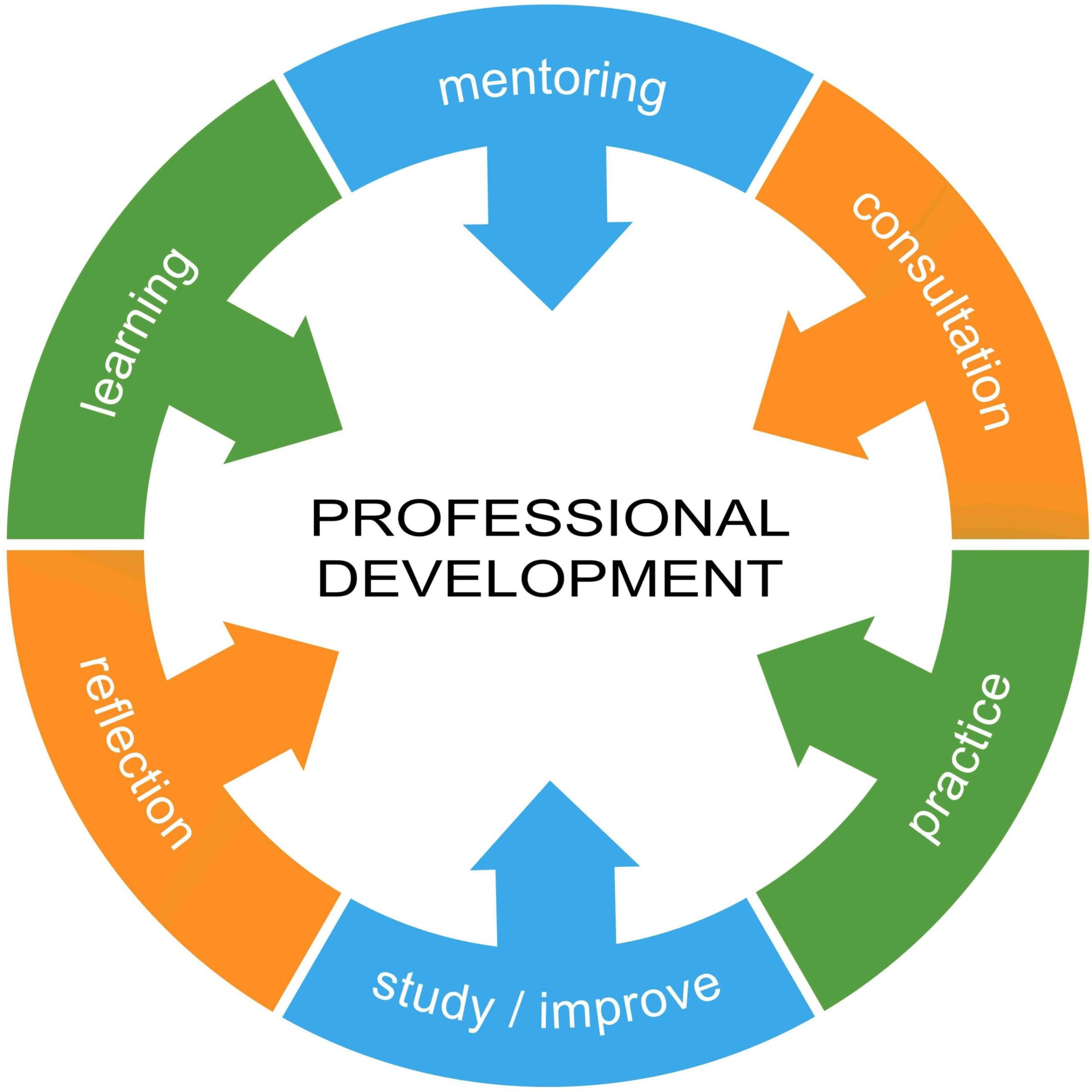 The Impact of Teacher Professional Development on K-12 Education