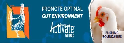 promote-optimal