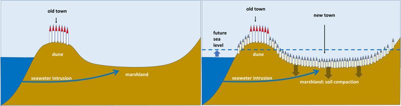 Protecting Coastal Cities from Sea Level Rise