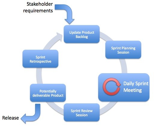 Scrum in Practice: Real-World Examples and Case Studies