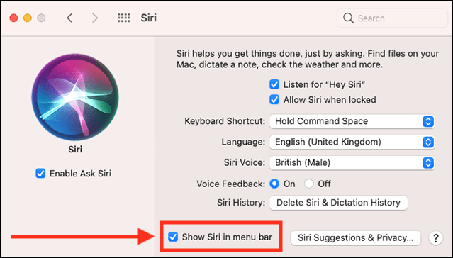 “Siri on macOS: Voice Assistant Tips for Mac Users”