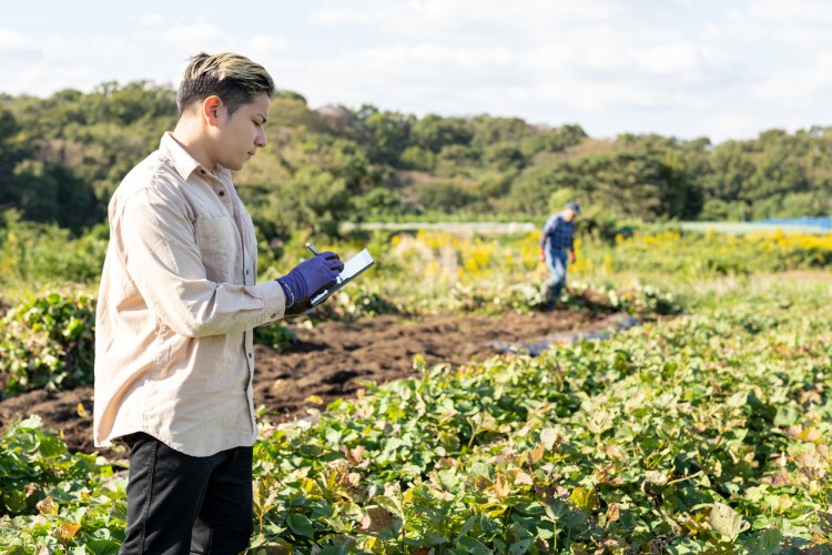 Sustainable Agriculture: A Business Opportunity in a Changing Climate