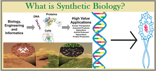 The Promise and Perils of Synthetic Biology