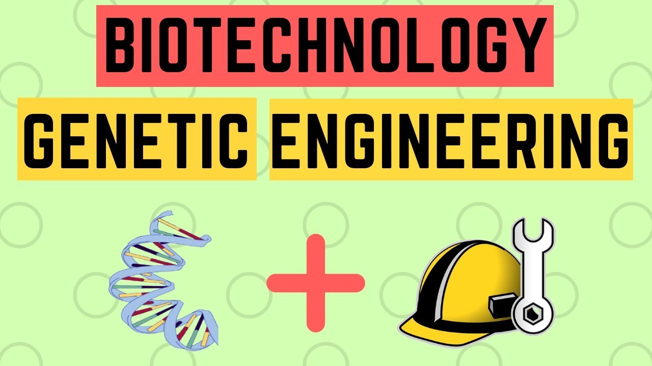 the-basics-of-biotechnology-and-genetic-engineering