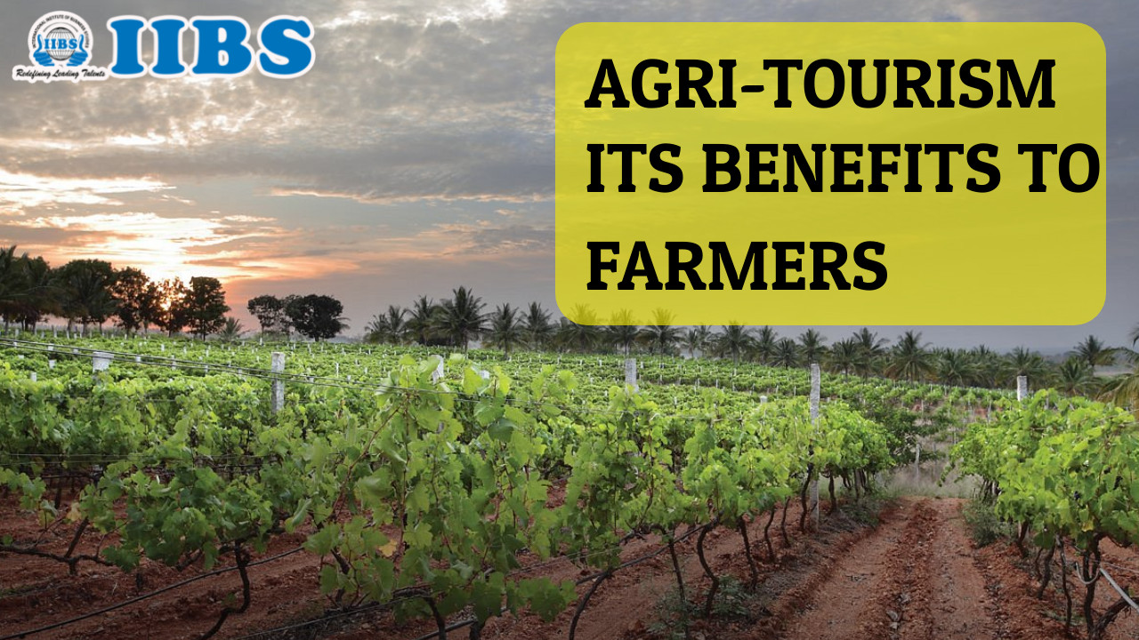 The Benefits of Agrotourism: Farming as a Tourist Attraction