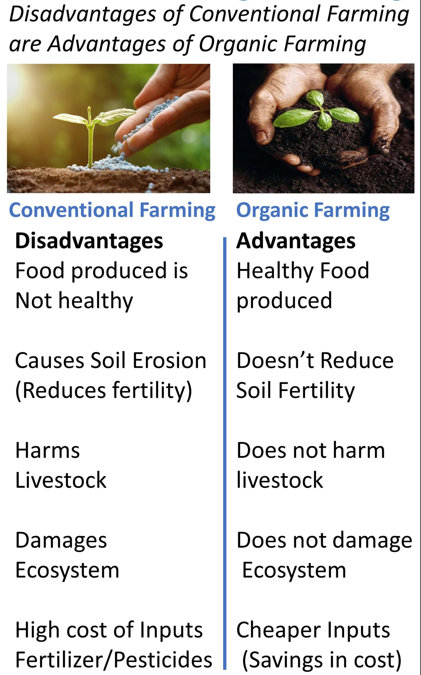 The Benefits of Organic Livestock Farming