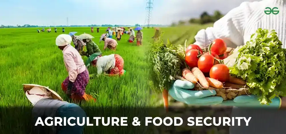 The Connection Between Agriculture and Food Security