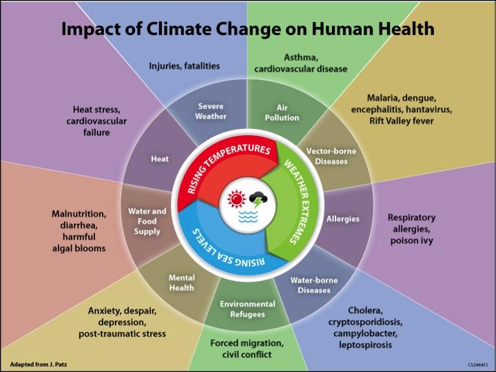 The Connection Between Climate Change and Disease