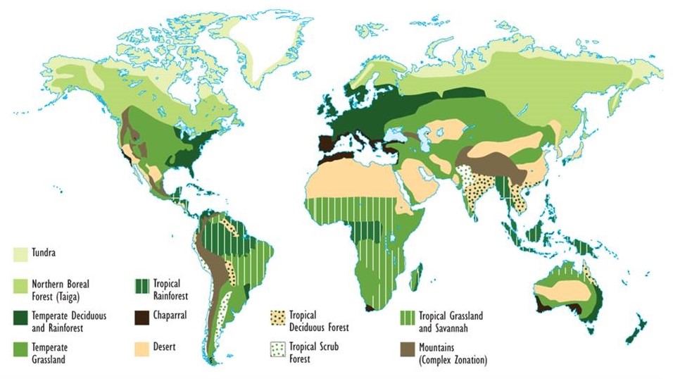 the-diversity-of-life-exploring-the-worlds-biomes-and-ecosystems