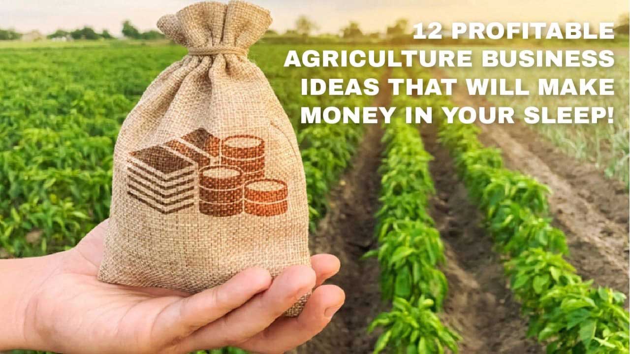 The Economics of Farming: Making Agriculture Profitable