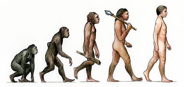 the-evolution-of-life-how-we-came-to-be