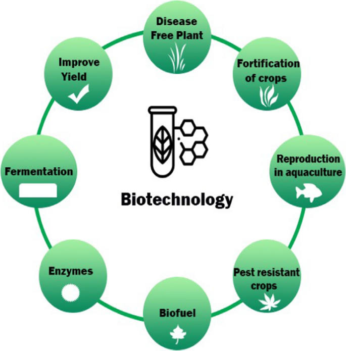 the-impact-of-biotechnology-on-agriculture-and-food-production