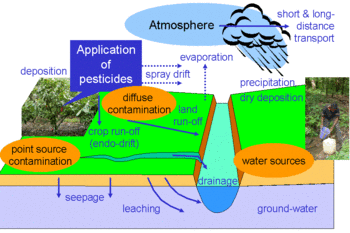 The Impact of Pesticides on the Environment and Health