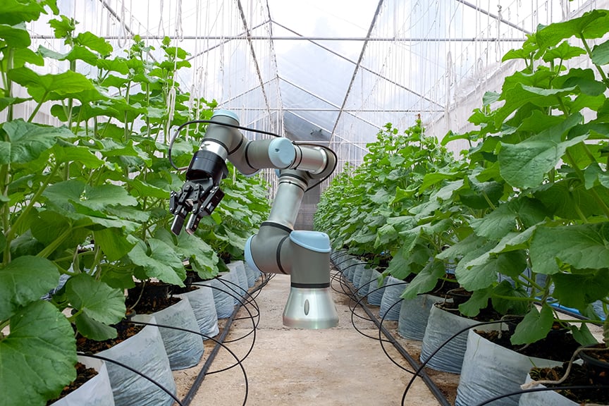 the-impact-of-robotics-and-automation-on-sustainable-development