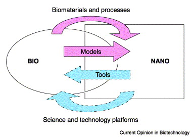 the-intersection-of-biotechnology-and-nanotechnology