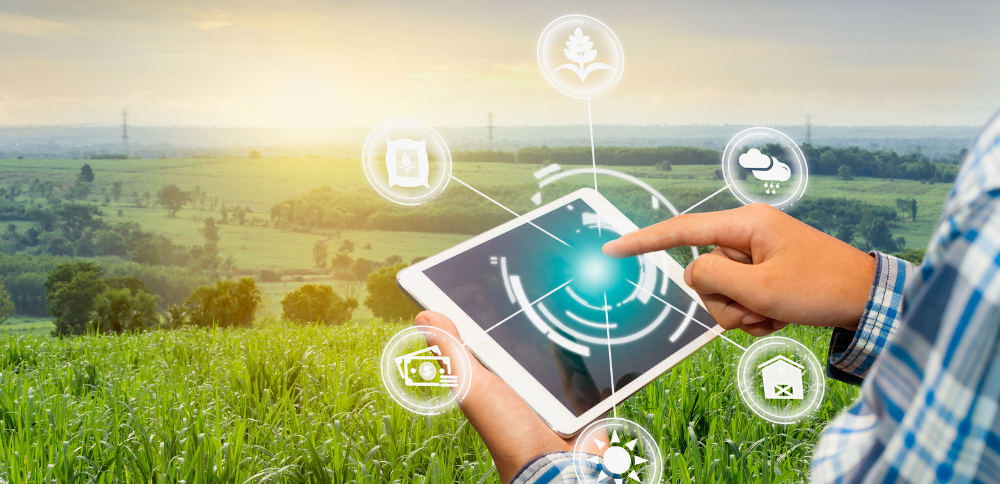 Data-Driven Decision-Making in Digital Agriculture