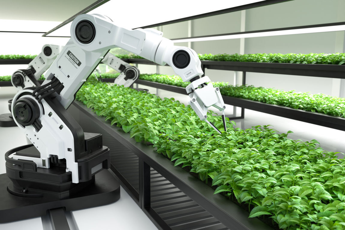 The Role of Automation in Vertical Farming