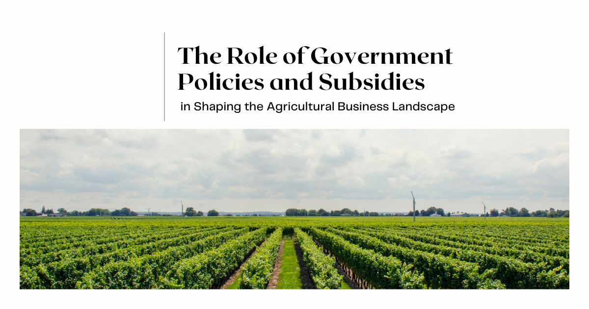 The Role of Government Policies in Agriculture