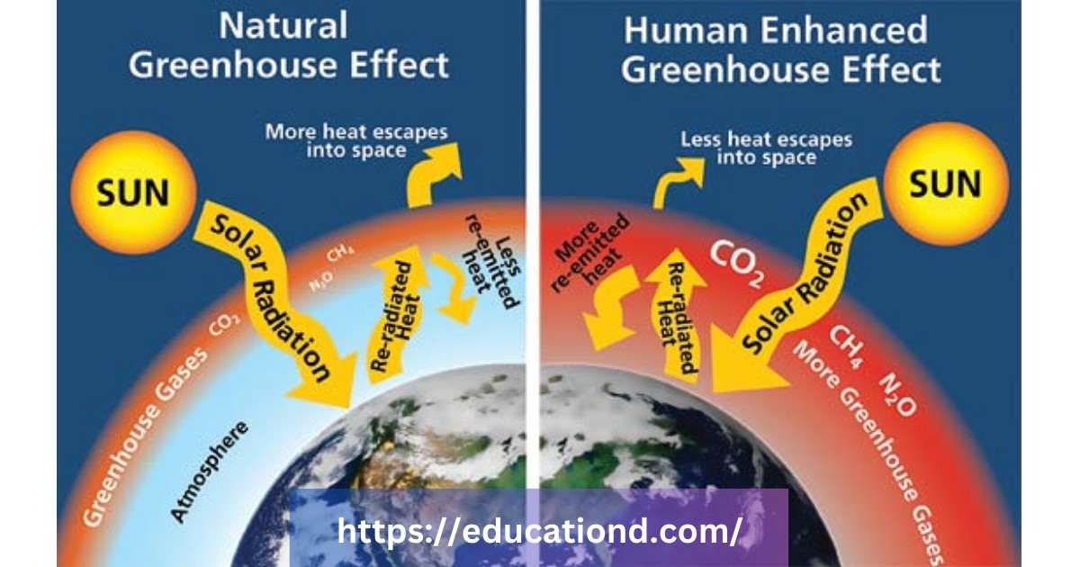 The Role of Greenhouse Gases in Climate Change