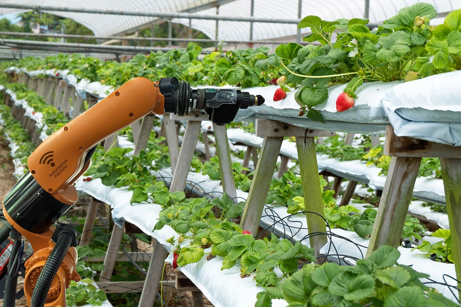 The Role of Robotics in Precision Agriculture