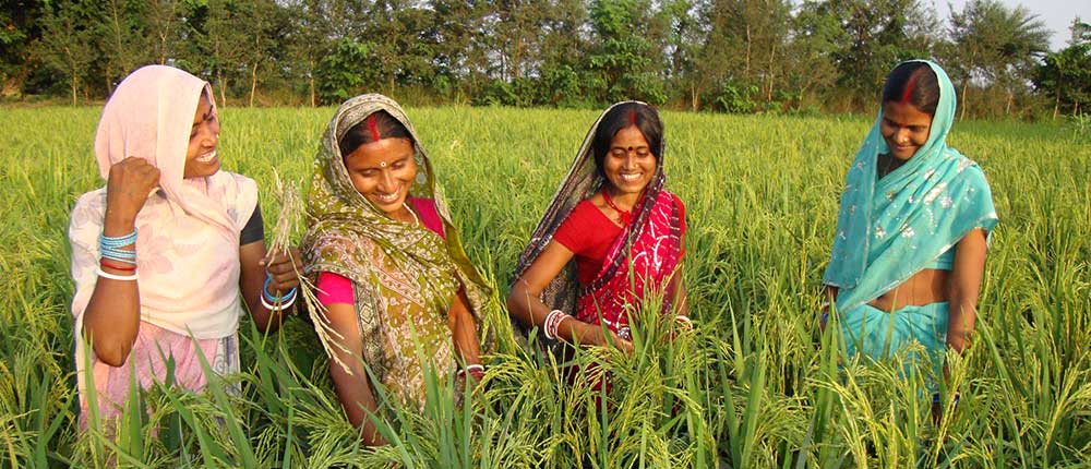 The Role of Women in Agriculture: Empowering Farmers