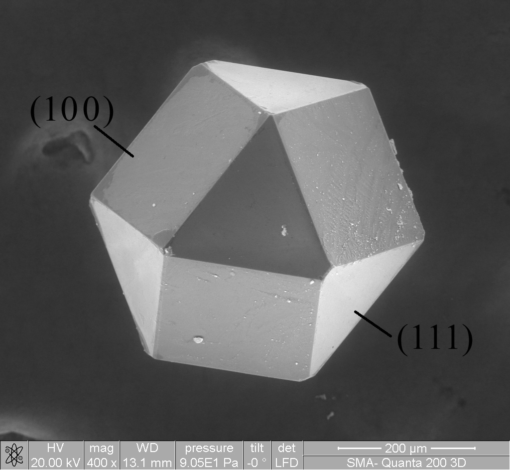 the-science-of-materials-how-chemistry-shapes-the-world-around-us