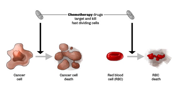 the-use-of-biotechnology-in-the-fight-against-cancer