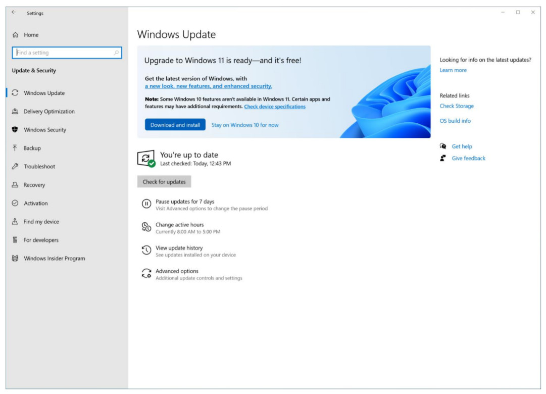 “Windows 10 to Windows 11 Upgrade: What You Need to Know”